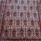 Persian rug Afshar 