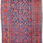 Persian rug Bijar 